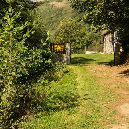 Casa Valea Prejbei Villa Rau Sadului Dış mekan fotoğraf