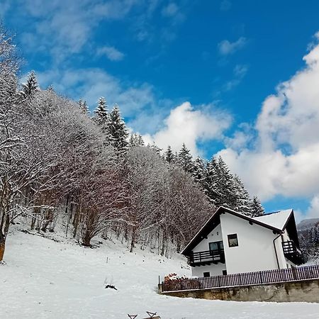 Casa Valea Prejbei Villa Rau Sadului Dış mekan fotoğraf