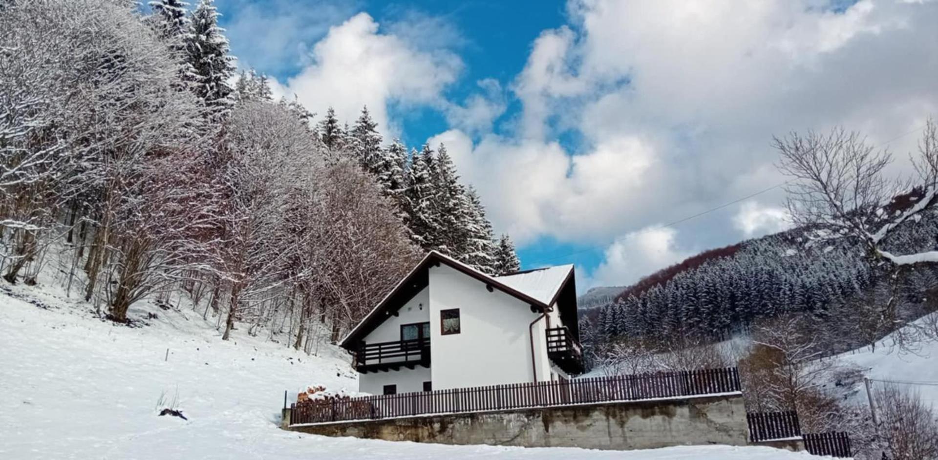 Casa Valea Prejbei Villa Rau Sadului Dış mekan fotoğraf