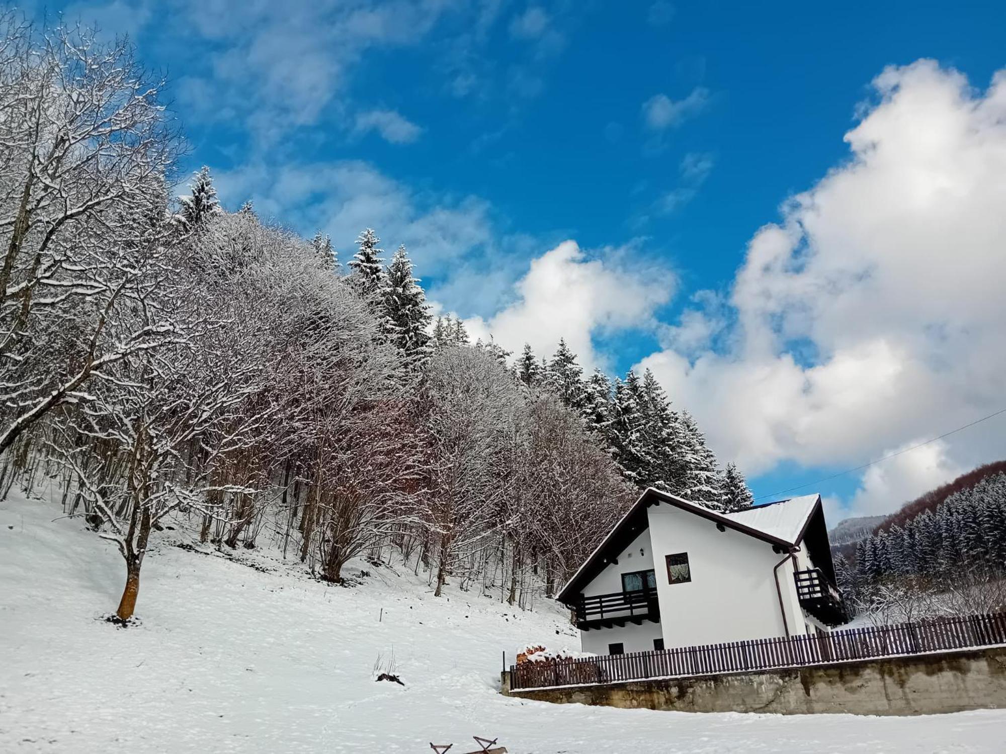 Casa Valea Prejbei Villa Rau Sadului Dış mekan fotoğraf
